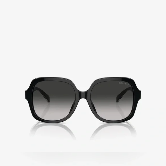 Coach Black Sunglasses for Women NWT full inclusion - Picture 2 of 5